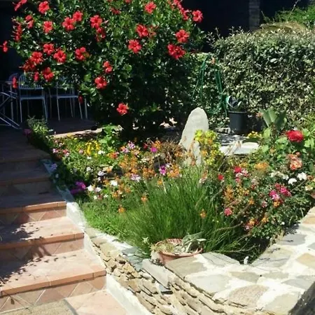 Sogno Sul Mare * Stintino