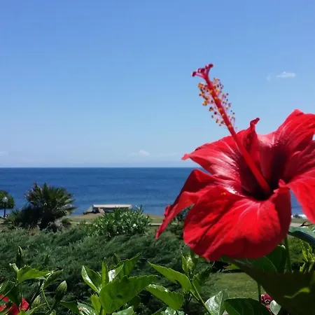 Apartment Sogno Sul Mare